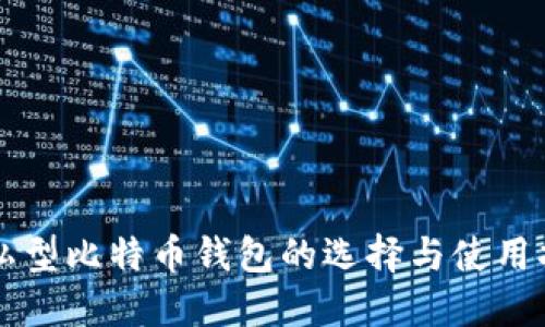 隐私型比特币钱包的选择与使用指南