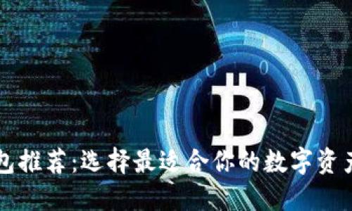 区块链钱包推荐：选择最适合你的数字资产管理工具