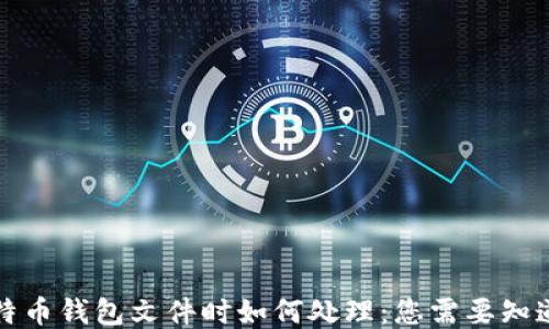 
发现比特币钱包文件时如何处理：您需要知道的一切