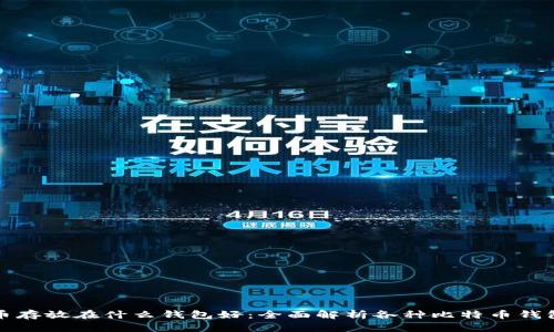 比特币存放在什么钱包好：全面解析各种比特币钱包选择
