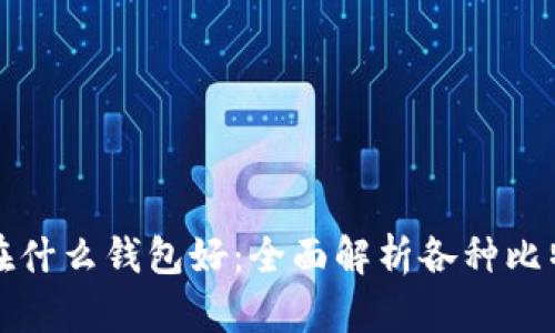 比特币存放在什么钱包好：全面解析各种比特币钱包选择