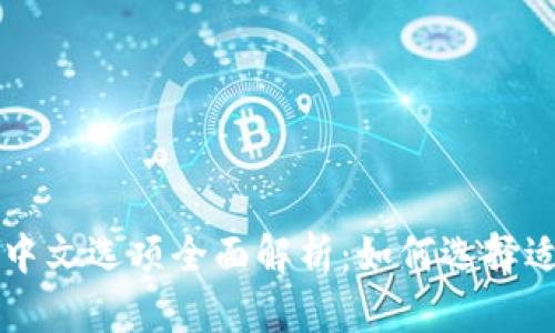 以太坊钱包中文选项全面解析：如何选择适合您的钱包