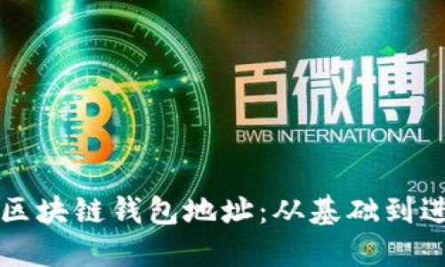 如何高效监控区块链钱包地址：从基础到进阶的完整指南