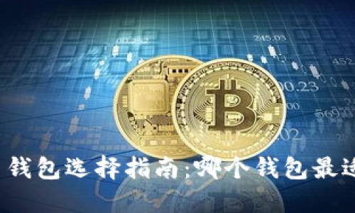 比特币钱包选择指南：哪个钱包最适合您？