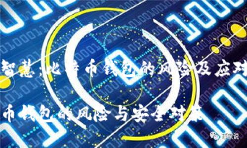 币投智慧：比特币钱包的风险及应对策略

比特币钱包的风险与安全对策
