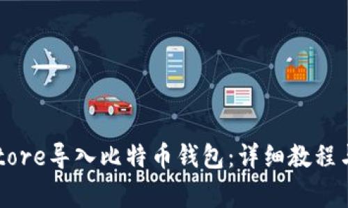 如何通过Keystore导入比特币钱包：详细教程与常见问题解答