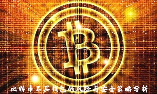 
比特币不买钱包的风险与安全策略分析