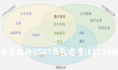 如何开发一个高效的USDT钱包方案：ERC20标准深度解析