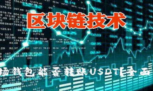 : 波场钱包能否转账USDT？全面解析！