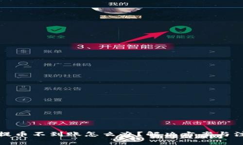 TP钱包提币不到账怎么办？解决方案与注意事项