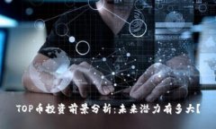 TOP币投资前景分析：未来