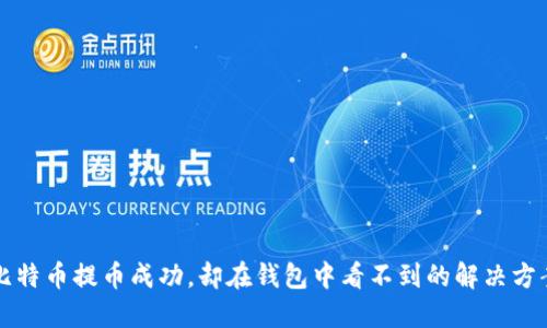 比特币提币成功，却在钱包中看不到的解决方案