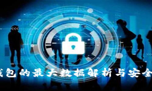 USDT钱包的最大数据解析与安全性指南