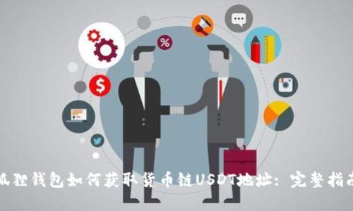狐狸钱包如何获取货币链USDT地址: 完整指南