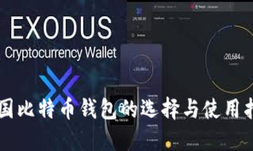 中国比特币钱包的选择与使用指南