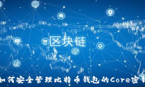   
如何安全管理比特币钱包的Core密钥