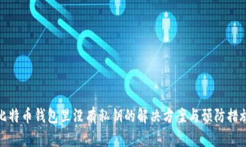 比特币钱包里没有私钥的解决方案与预防措施