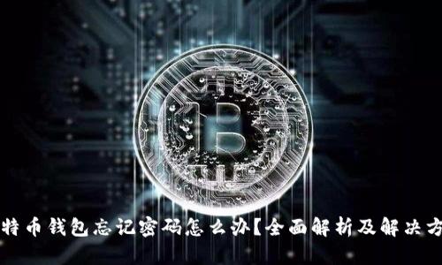 比特币钱包忘记密码怎么办？全面解析及解决方案
