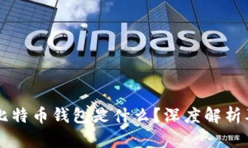 李晨用的比特币钱包是什么？深度解析及使用推荐