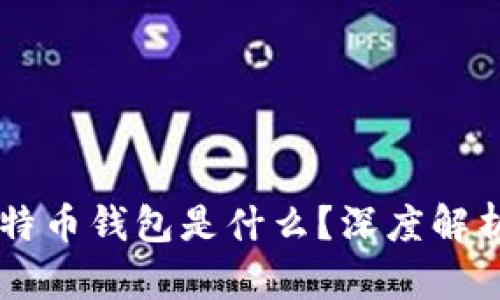 李晨用的比特币钱包是什么？深度解析及使用推荐