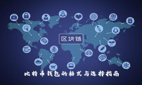 比特币钱包的格式与选择指南