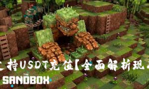 什么钱包支持USDT充值？全面解析现有主流钱包
