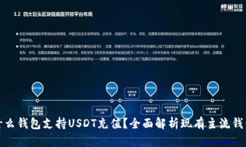 什么钱包支持USDT充值？全面解析现有主流钱包
