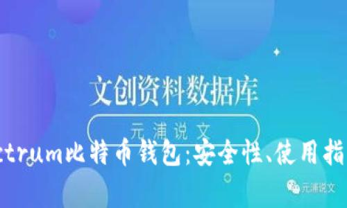 全面解析Electrum比特币钱包：安全性、使用指南及常见问题