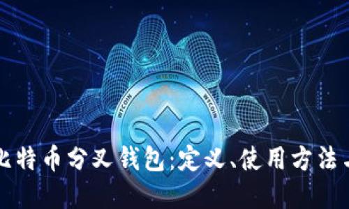 深入了解比特币分叉钱包：定义、使用方法与最佳实践