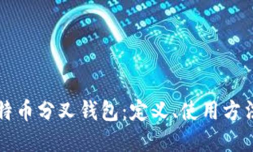 深入了解比特币分叉钱包：定义、使用方法与最佳实践