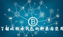 深入了解比特币钱包的种类与使用方法