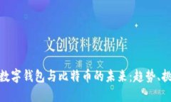 探索世界数字钱包与比特
