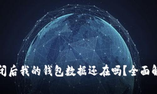 比特币网站倒闭后我的钱包数据还在吗？全面解析与应对策略