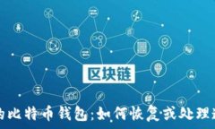   忘记密钥的比特币钱包：