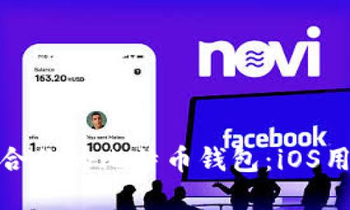 : 如何选择适合你的比特币钱包：iOS用户的全面指南