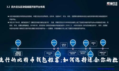 2023年最流行的比特币钱包推荐：如何选择适合你的数字货币钱包