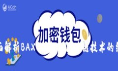 全面解析BAXE钱包与区块链