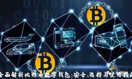 
全面解析比特币数字钱包：安全、选择与使用指南