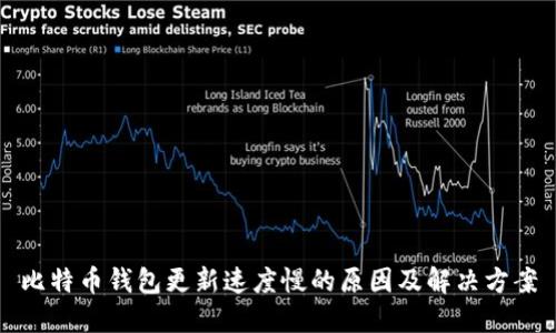 比特币钱包更新速度慢的原因及解决方案