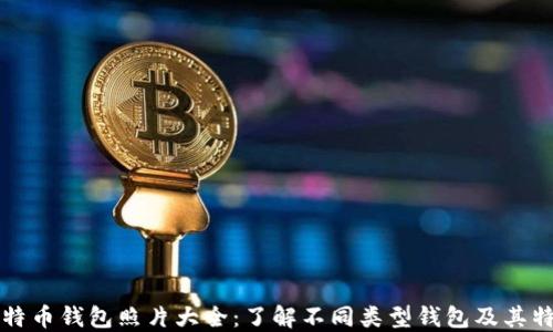 
比特币钱包照片大全：了解不同类型钱包及其特点