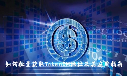 如何批量获取TokenIM地址及其应用指南