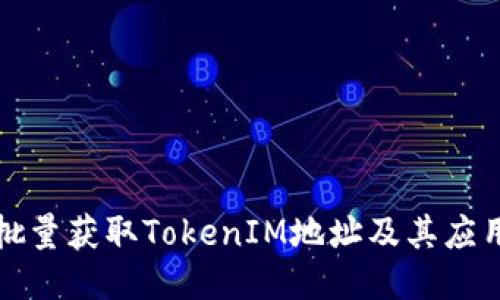 如何批量获取TokenIM地址及其应用指南