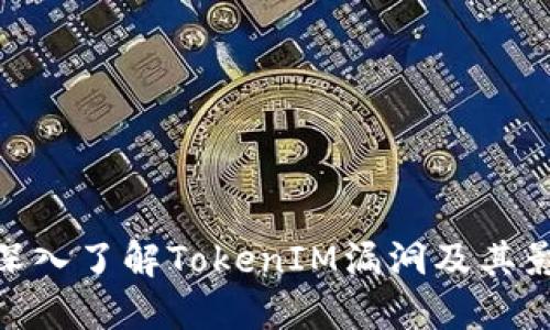 : 深入了解TokenIM漏洞及其影响