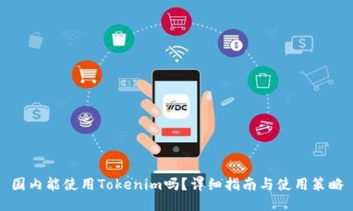 国内能使用Tokenim吗？详细指南与使用策略
