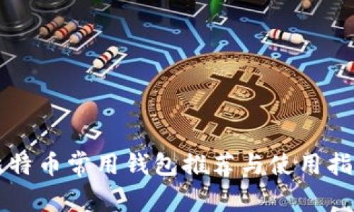 比特币常用钱包推荐与使用指南