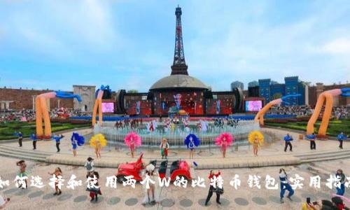 如何选择和使用两个W的比特币钱包：实用指南