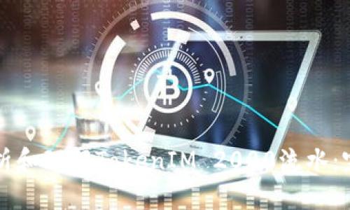 如何分析和理解TokenIM 2000流水：完整指南