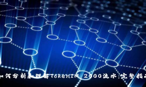 如何分析和理解TokenIM 2000流水：完整指南
