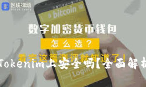 大额资金在Tokenim上安全吗？全面解析与风险防范