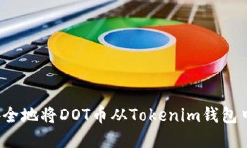 如何安全地将DOT币从Tokenim钱包中取回？